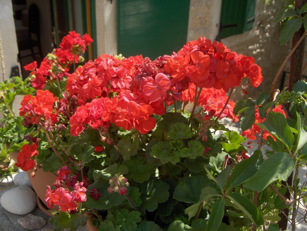 Guest House Lucijo Vrboska Exterior foto